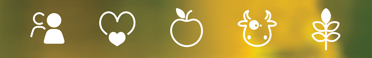 B Natural, icons