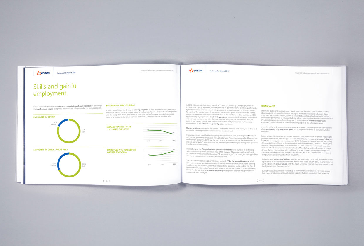 Edison, Sustainability Report 2016