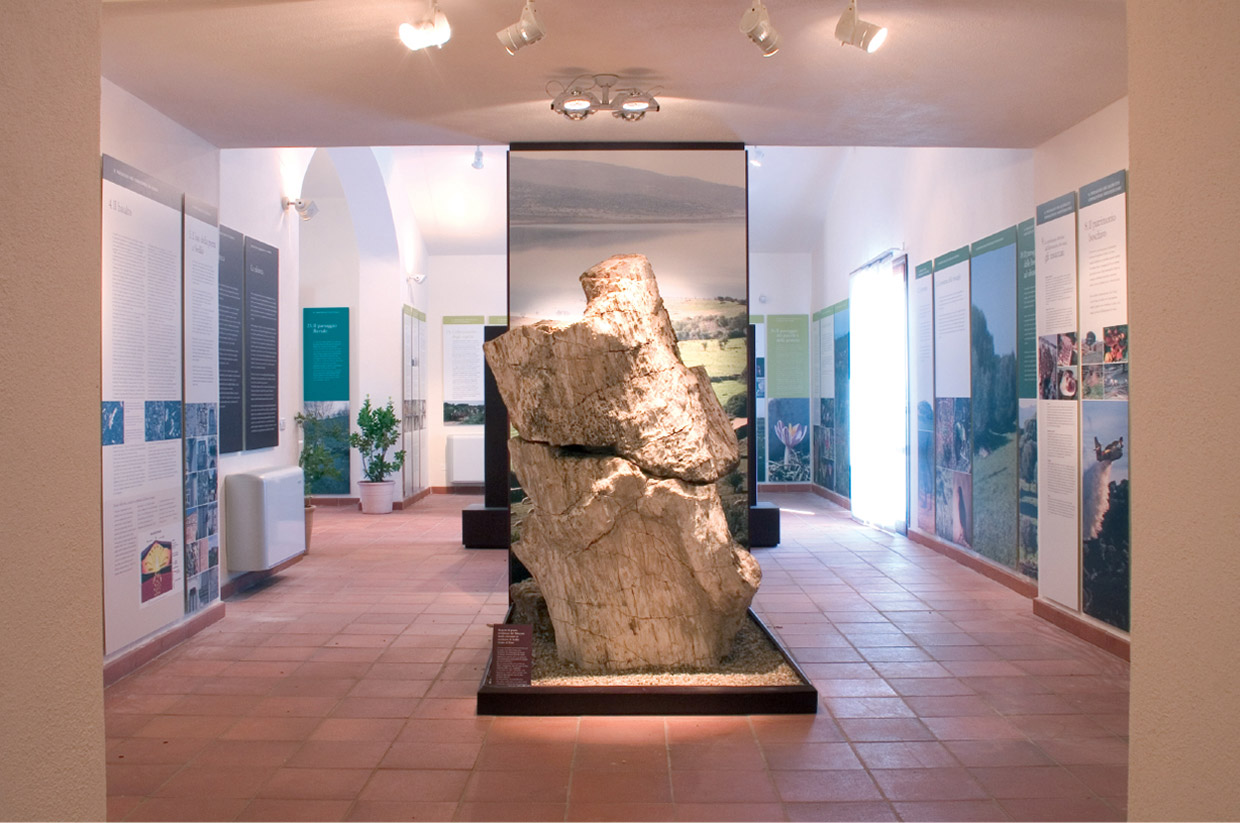 Sedilo, Oristano, Archaeological and Natural History Museum